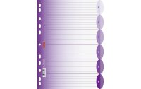 Brunnen Register A4 Colour Code Purple 1-6