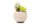 Dameco Kunstpflanze Sukkulenten 22 cm, mit Topf