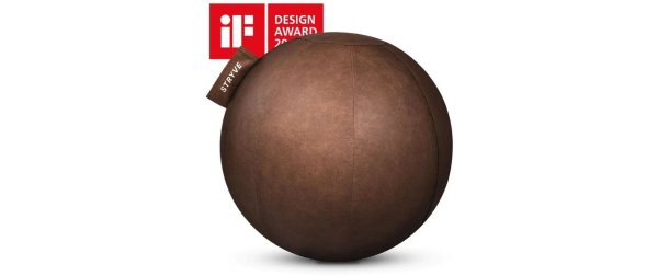 Stryve Active Ball Kunstleder Ø 70 cm