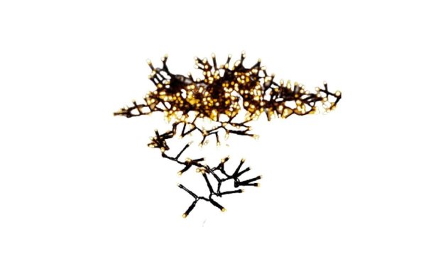 Star Trading LED-Lichterkette Golden, 16 m, 800 LED Outdoor