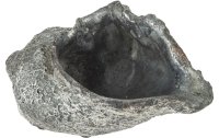 Opiflor Schale Muschel Ruwa Zement, 23 cm