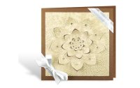 URSUS Bastelpapier Noblesse 23 x 33 cm, 200 g/m², 8 Blatt, Creme