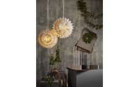 Star Trading Weihnachtsbaum Lummer, 15 LEDs, 55 cm, Grün