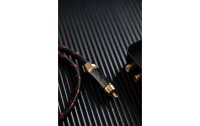 FiiO Audio-Kabel Digital-Koaxial LR-RCA1 50 cm