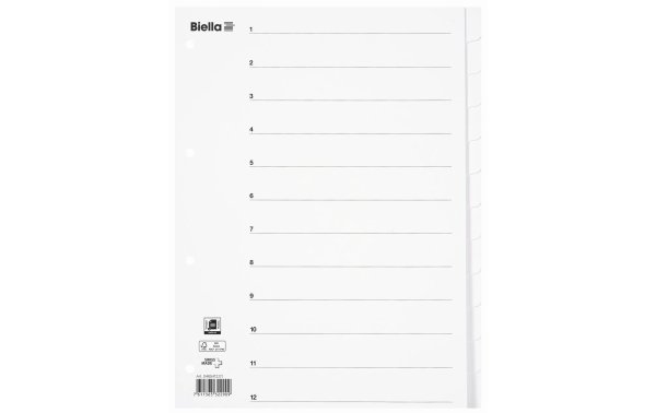 Biella Register A4 Karton 12-teilig mit Indexblatt