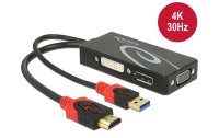 Delock Adapter 4K, 30HZ HDMI/USB 2.0 - DVI-D/VGA/DisplayPort