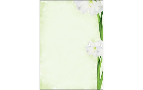 Sigel Motivpapier Green Flower A4, 25 Blatt