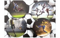 HERMA Papierkorb Fussball 15 l, Schwarz