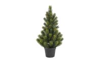 Botanic-Haus Weihnachtsbaum Tannenbaum im Topf, 51 cm