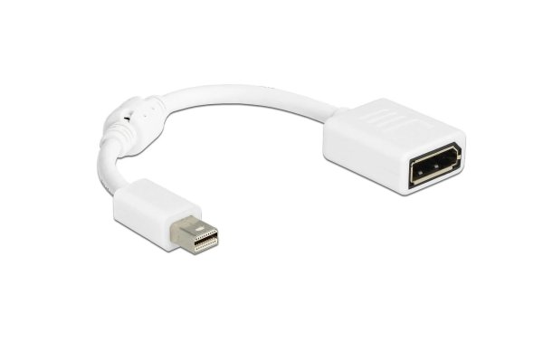 Delock Adapter Mini-DisplayPort – DisplayPort weiss, 4K, 15cm