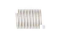 Paulmann LED-Stripe MaxLED 1000 Einzelstripe COB, 2700K, 2.5m, Silber