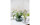 Zone Denmark Vase Inu 25 cm, Transparent