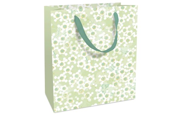 Braun + Company Geschenktasche Jolie 18 x 21 x 8 cm, Grün
