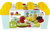 LEGO® DUPLO® Biogarten 10984