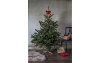 Star Trading Weihnachtsbaumständer 19 cm Grau/Natur