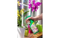 Neudorff BioKraft Vitalkur für Orchideen AF, 500 ml