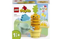 LEGO® DUPLO® Wachsende Karotte 10981