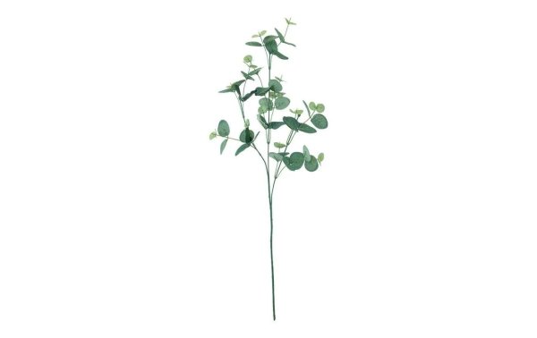 Dekomat AG Kunstpflanze Eukalyptuszweig 76 cm