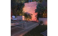 Philips Hue White & Color Ambiance Outdoor Amarant Schwarz Niedervolt