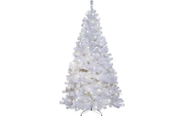 Star Trading Weihnachtsbaum Ottawa Weiss 260 LED, 210 cm, outdoor