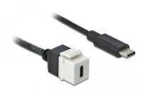 Delock Keystone-Modul USB3.0 USB-C – USB-C, 25cm Weiss