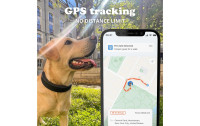 Invoxia GPS-Tracker Smart Dog Collar S, Midnight Black