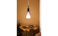EGLO Leuchten Lampe 4 W E27 Schwarz-Transparent-Violett