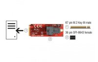 Delock Host Bus Adapter M.2 - U.2, SFF-8643 NVMe