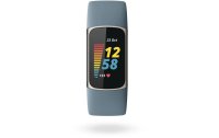 Fitbit Activity Tracker Charge 5 Weiss/Silber
