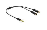 Delock Audio-Kabel Klinke 3.5mm, male - Klinke 3.5mm, female 0.25 m