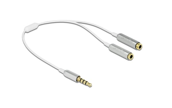 Delock Audio-Kabel Klinke 3.5mm, male - Klinke 3.5mm, female 0.25 m