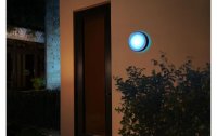 Philips Hue White & Color Ambiance Outdoor Daylo Wandleuchte Silber