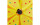 relaxdays Windrad Blume mit Punkten Gelb/Orange