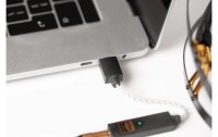 iFi Audio Kopfhörerverstärker & USB-DAC GO-Link