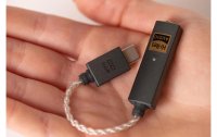 iFi Audio Kopfhörerverstärker & USB-DAC GO-Link