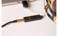 iFi Audio Kopfhörerverstärker & USB-DAC GO-Link