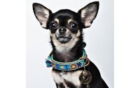Dog with a mission Halsband Boho Juan, XS, 2 cm