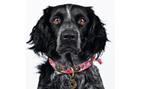 Dog with a mission Halsband Boho Rosa, L, 4 cm