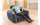 Intex Aufblasbarer Sessel Pull-Out Chair