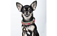 Dog with a mission Halsband Boho Rosa, XXS, 2 cm