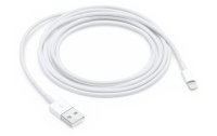 Apple USB 2.0-Kabel  USB A - Lightning 2 m