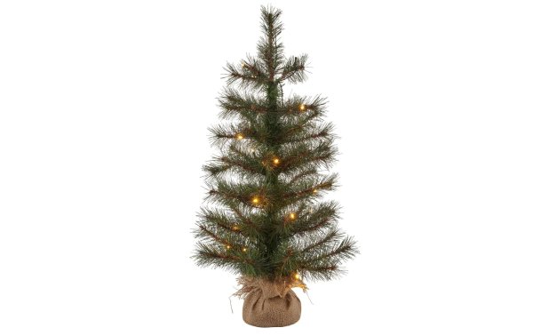 Sirius Weihnachtsbaum Alvin, 60 cm, 20 LEDs