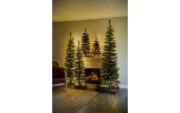 Sirius Weihnachtsbaum Alvin, 60 cm, 20 LEDs