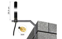 Delock LTE-Antenne SMA SMA 3 dBi Rundstrahl