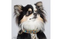 Dog with a mission Halsband Beads Indi Moon, XS, 2 cm