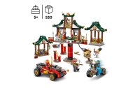 LEGO® Ninjago Kreative Ninja Steinebox 71787