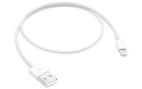 Apple USB 2.0-Kabel  USB A - Lightning 0.5 m
