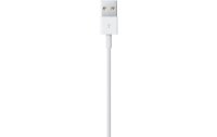 Apple USB 2.0-Kabel  USB A - Lightning 0.5 m