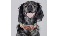 Dog with a mission Halsband Joplin, L, 4 cm