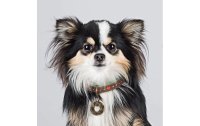 Dog with a mission Halsband Joplin, S, 2 cm
